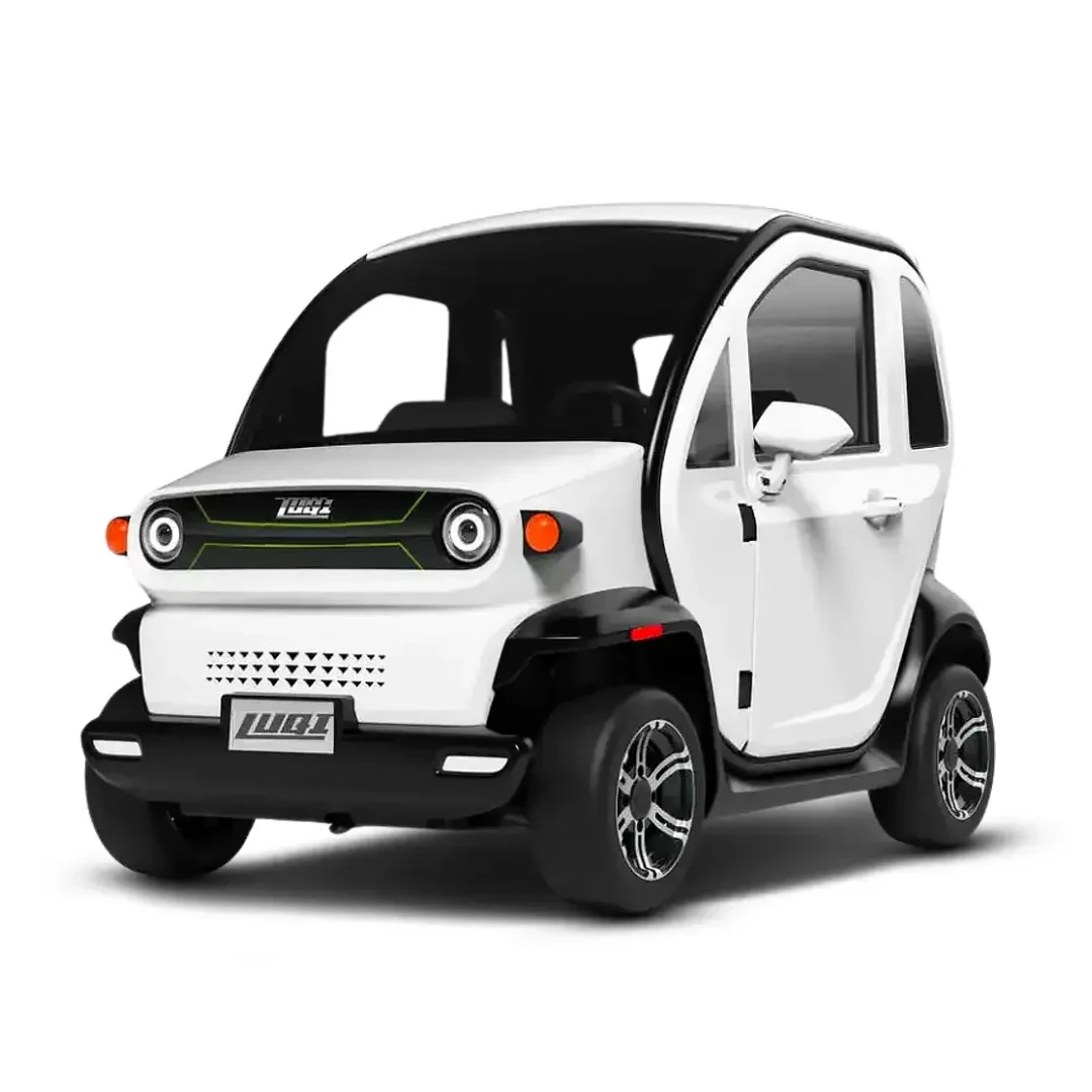 LUQI Ev300